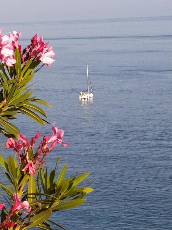 Las Palmeras Almuñécar Екстериор снимка